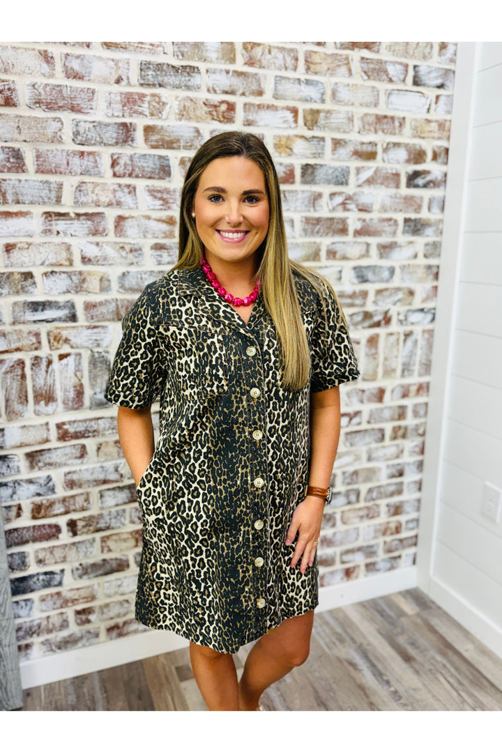 Denim Leopard Dress