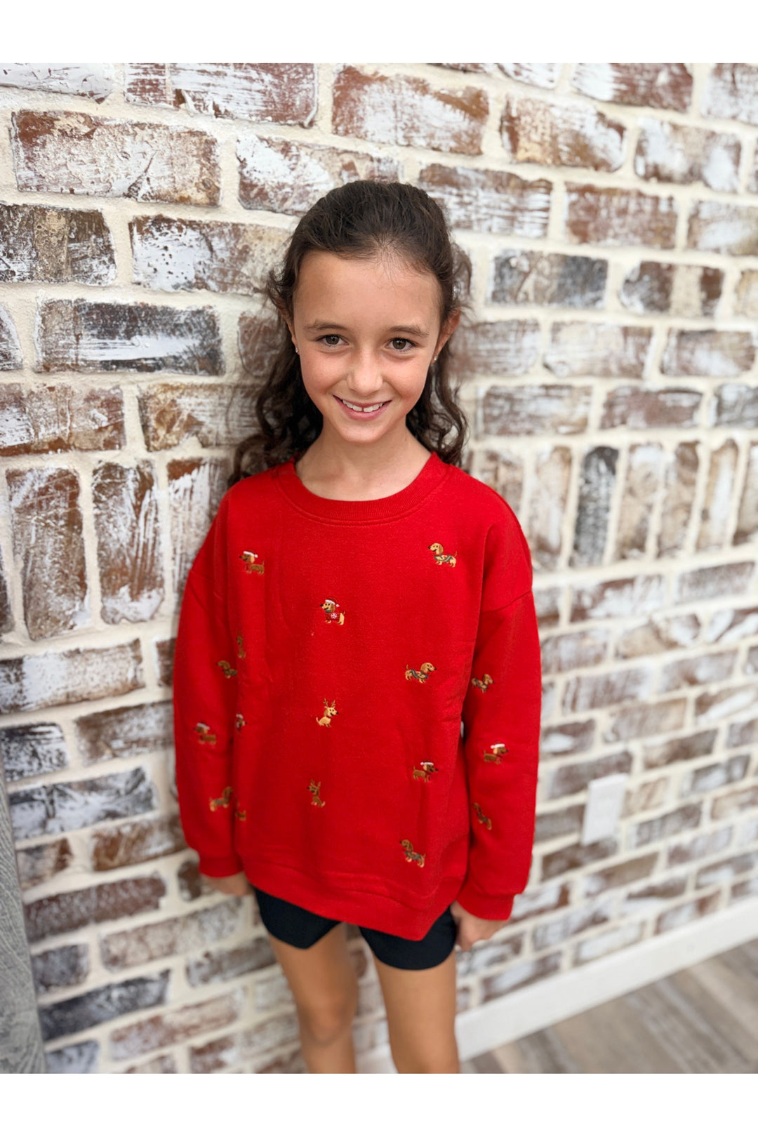 Youth | Holiday Dog Sweatshirt