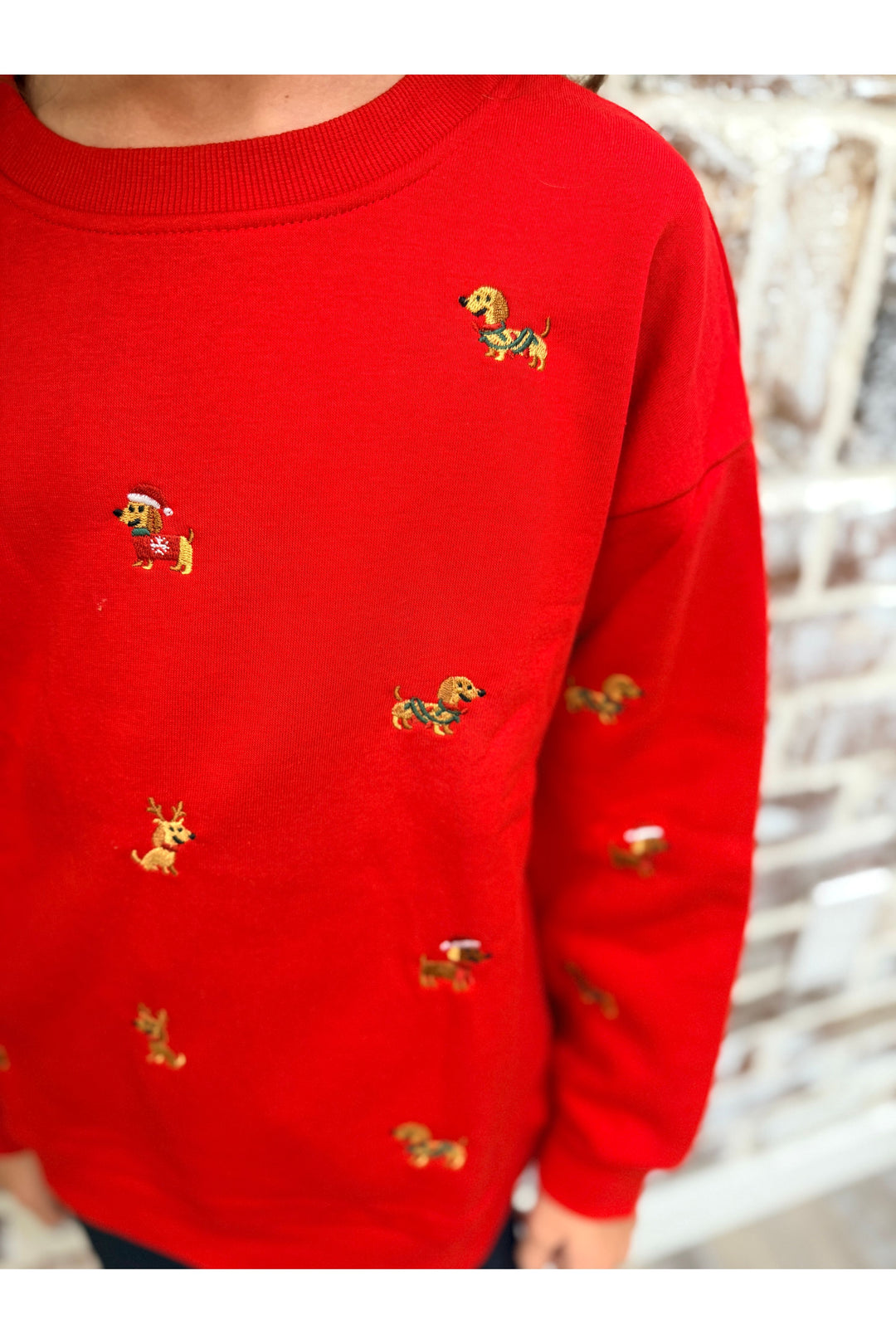 Youth | Holiday Dog Sweatshirt