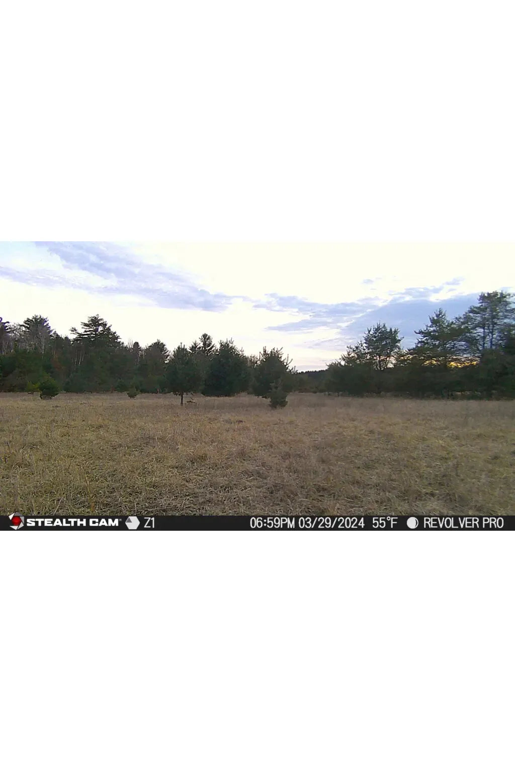 Stealth Cam Revolver Pro 360° Cellular Trail Camera
