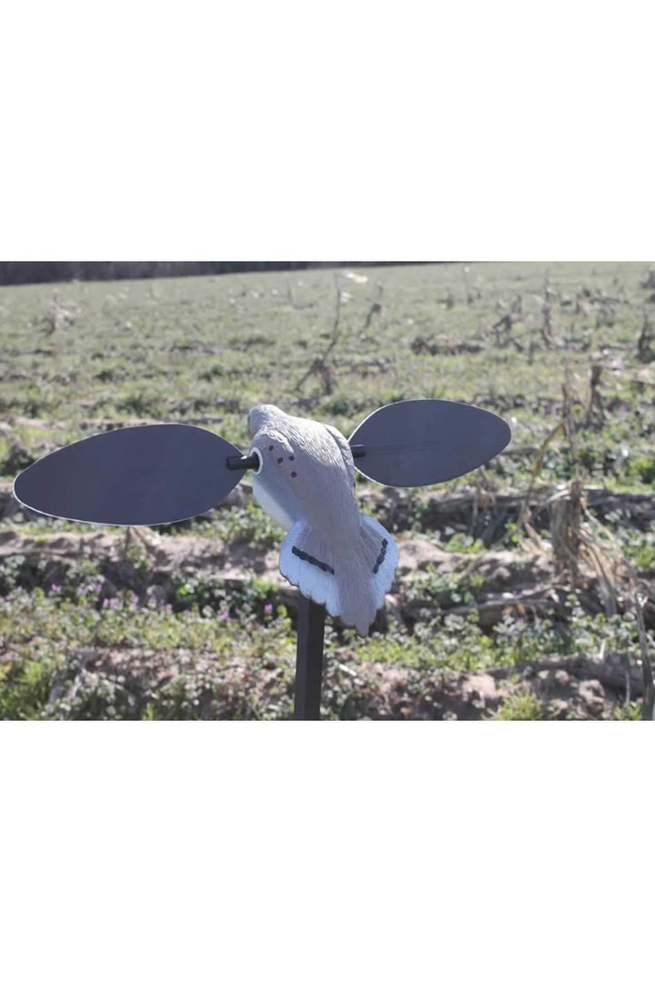Mojo Outdoors Elite Series Dove Decoy