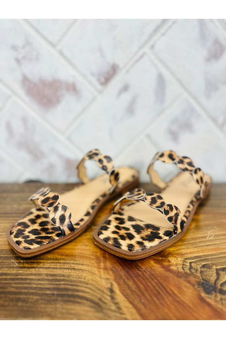 Corkys | Round of Applause - Leopard