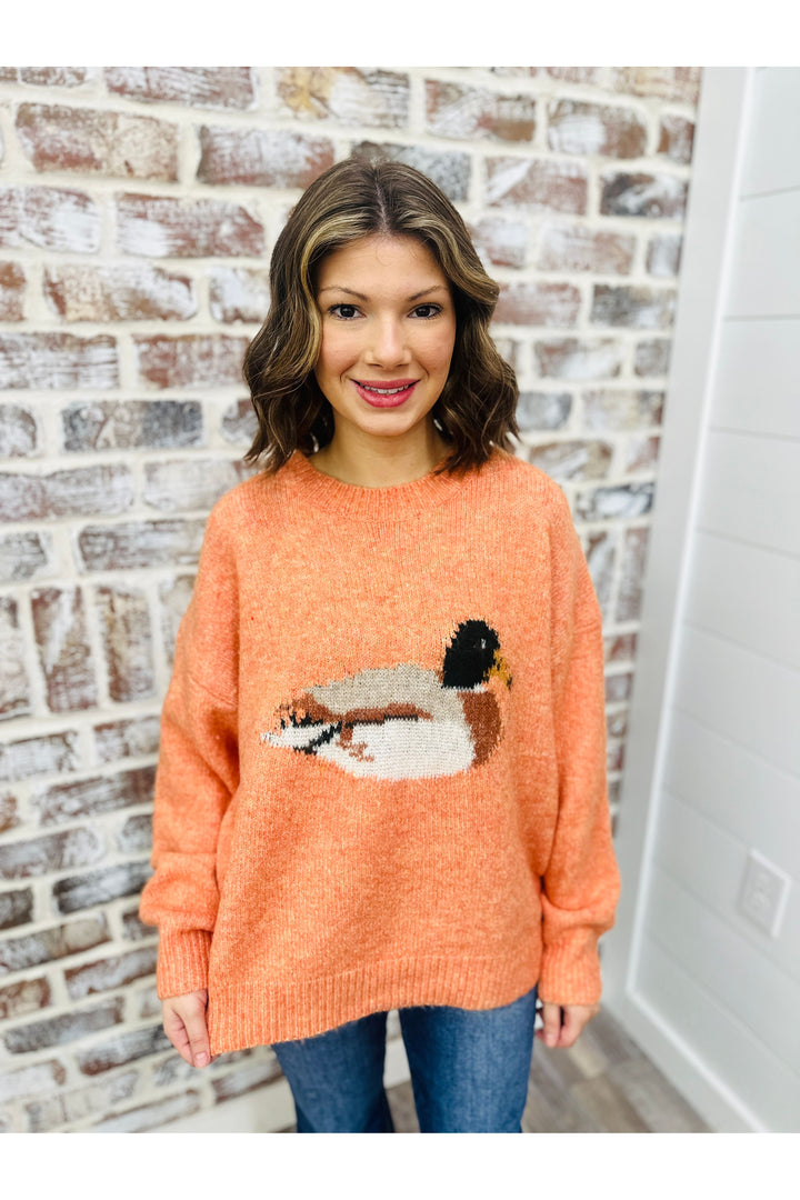 Cider Duck Sweater