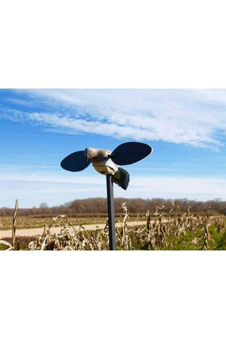 Mojo Outdoors Elite Series Dove Decoy