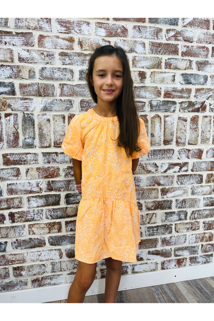 Girls Orange Embroidered Gingham Dress