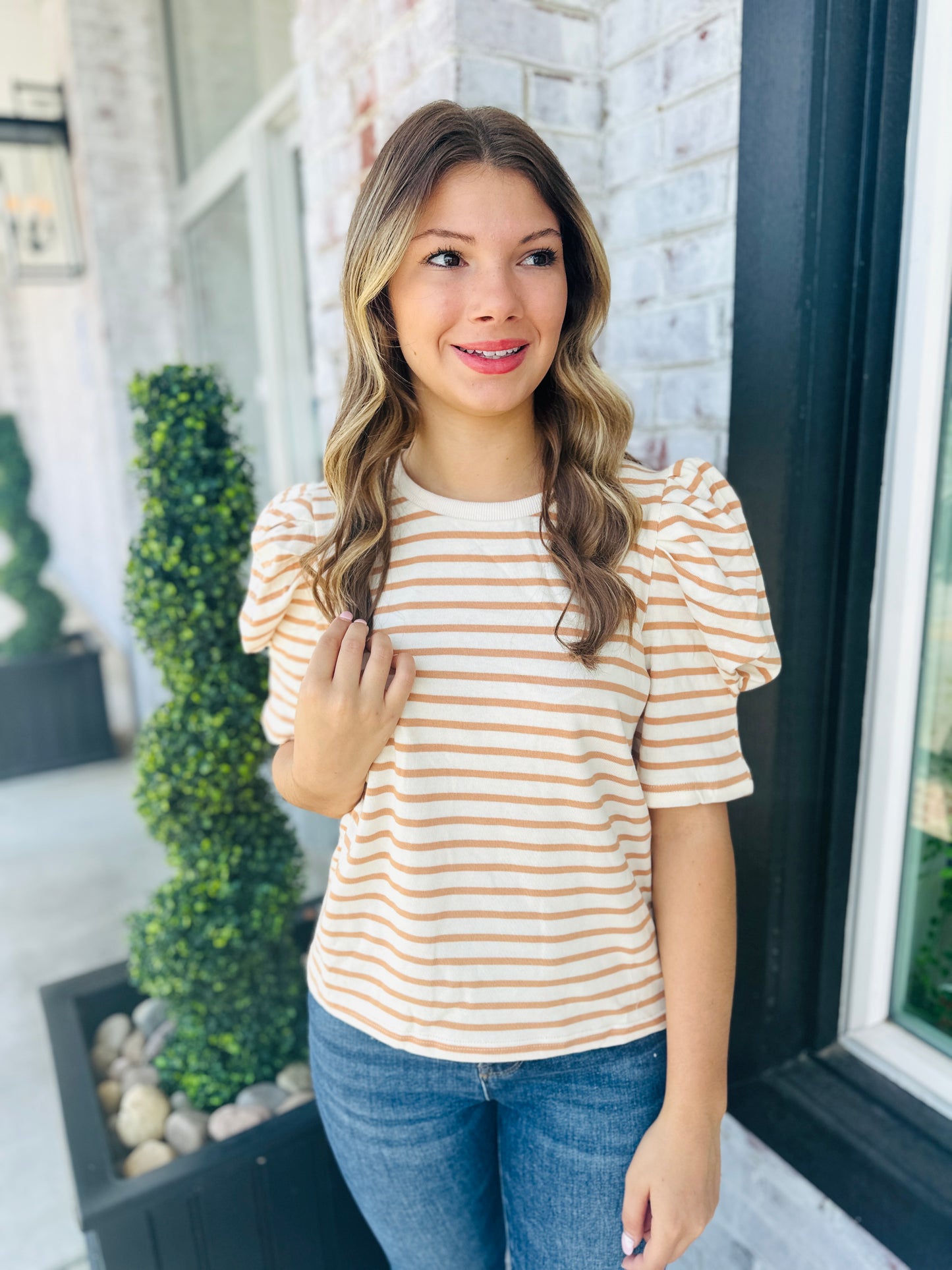 Taupe/Cream Puff Sleeve Top