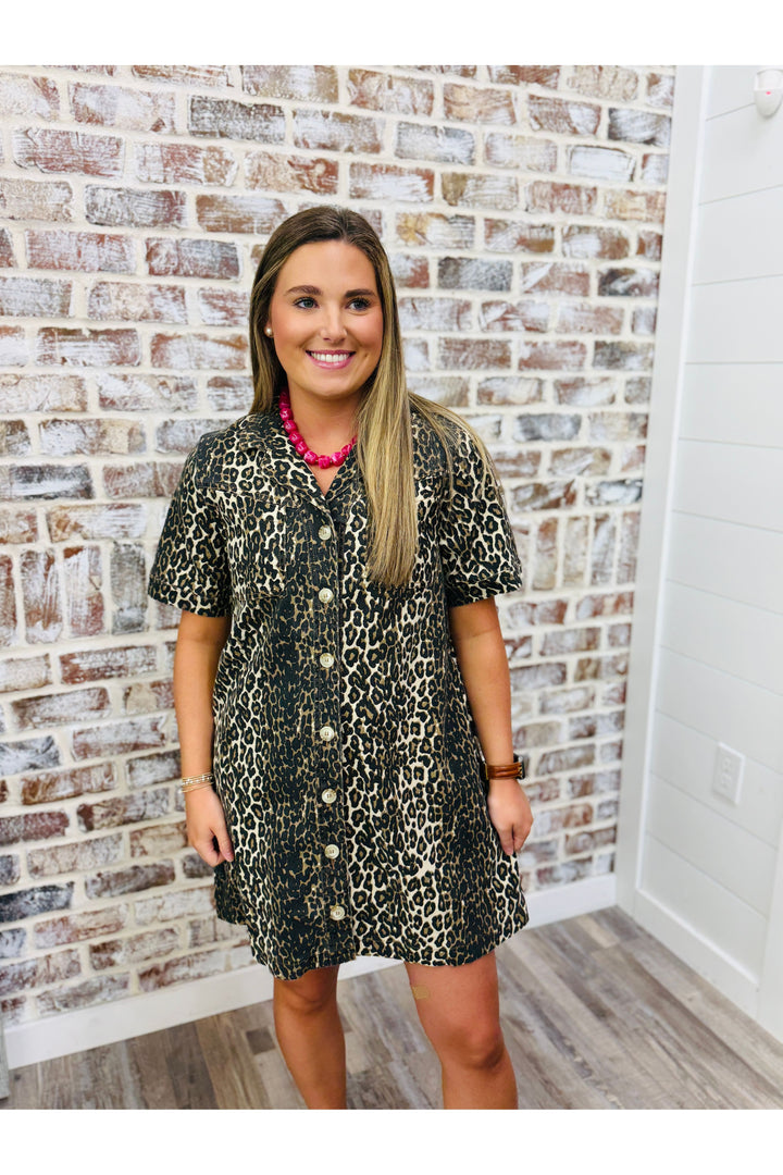 Denim Leopard Dress