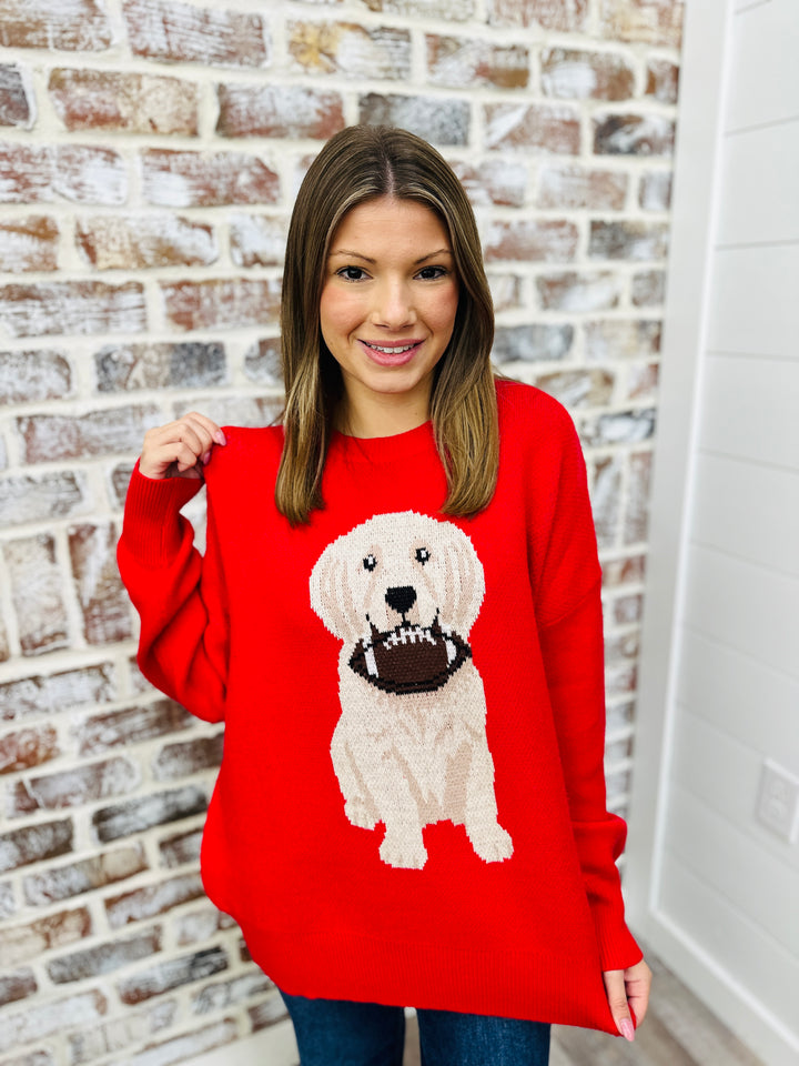 Oversized Gameday Puppy Sweater