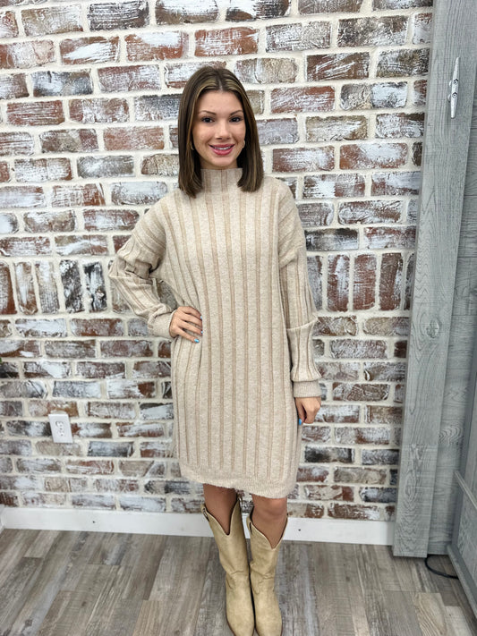 Winter Wear Sweater Dress