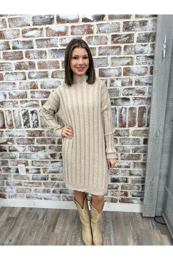 Winter Wear Sweater Dress