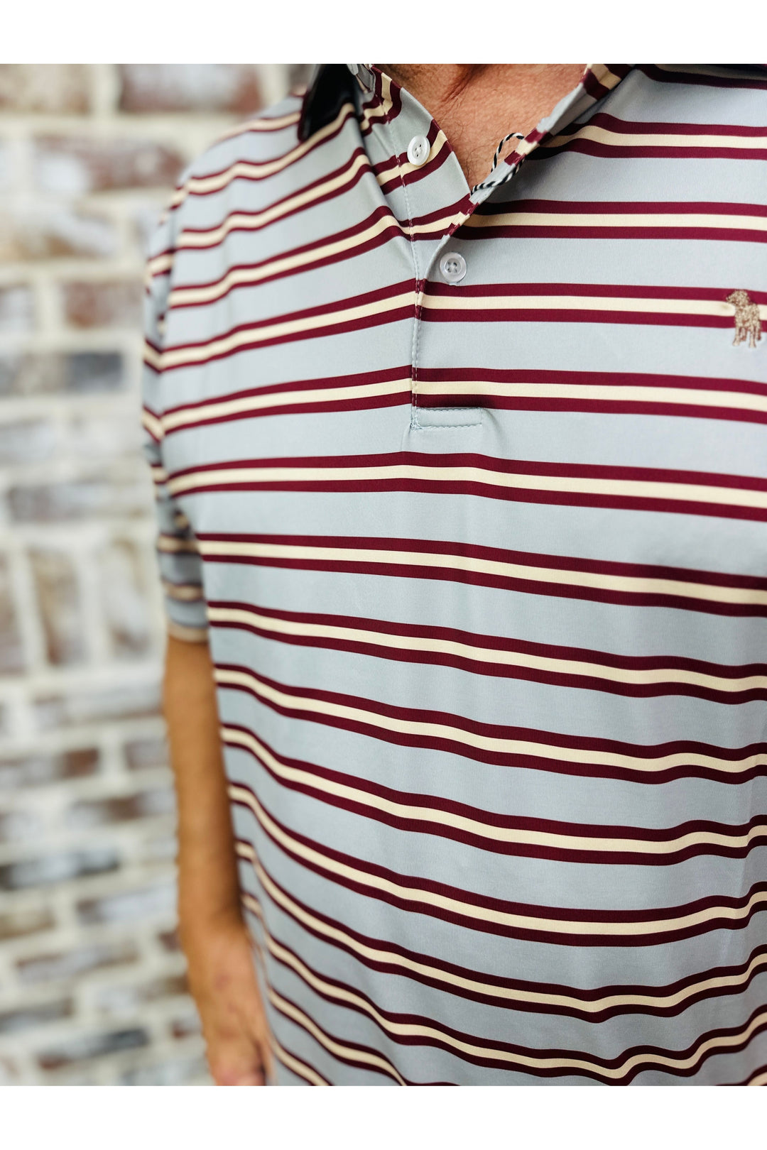 Southern Casanova | Bow & Arrow Stripe Polo