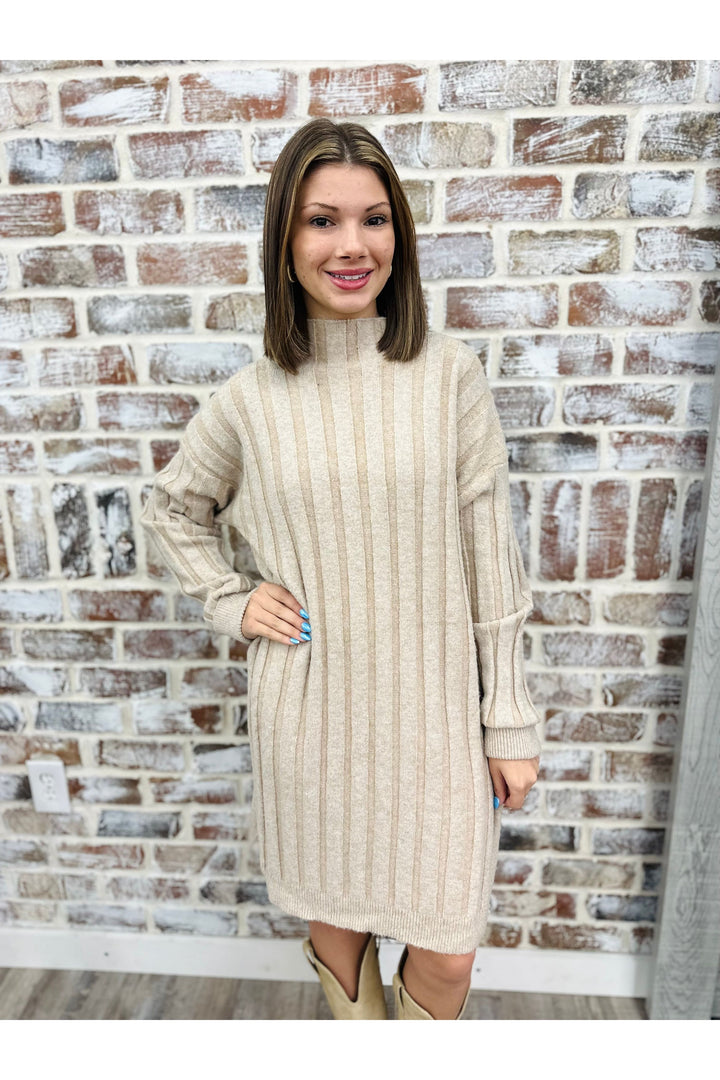 Winter Wear Sweater Dress